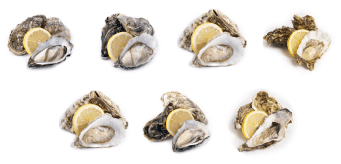 Shucked presents Oyster & Champagne Masterclass with Jean Dhooge & Laurent Robert 2