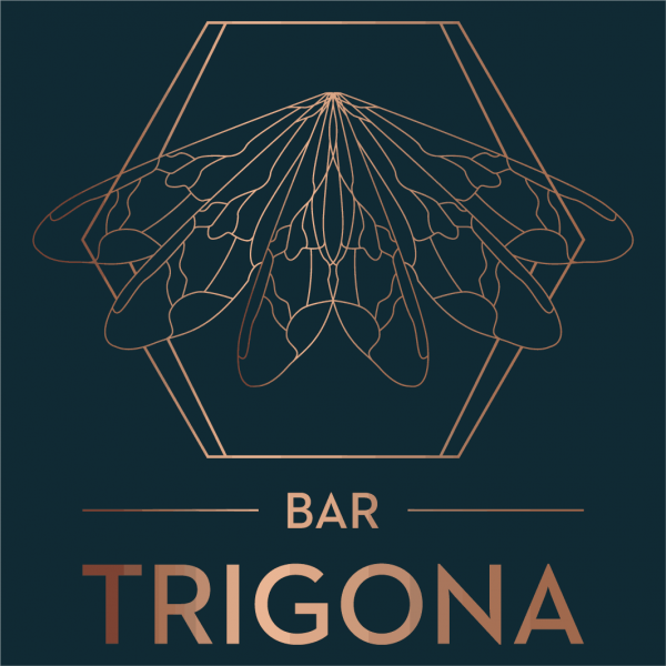 bar-trigona-logo