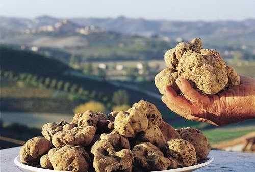 Exclusive Wine & White Truffle Dinner at Sapore 2