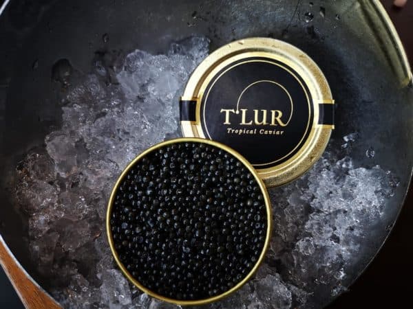 Caviar Pairing and Masterclass by Sabahae & T'Lur 7