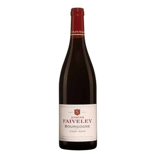 Domaine Faiveley Bourgogne Rouge Pinot Noir 2019 1
