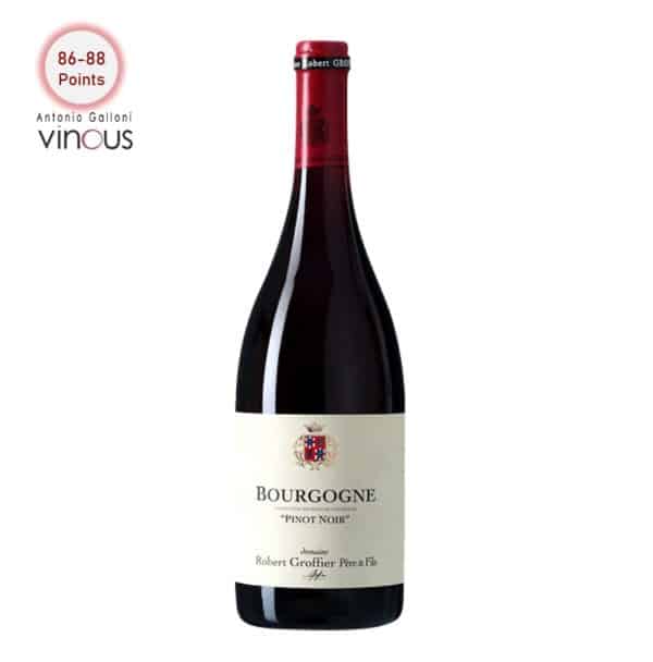 Domaine Robert Groffier Bourgogne Pinot Noir 2019 1