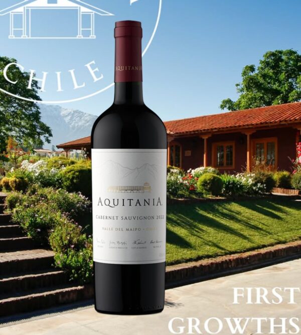 The Friday Lunch Series: Vina Aquitania Uncorked - Image 4